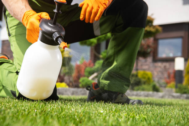 Best Best Pest Control Companies  in Murphys Estates, SC