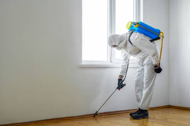 Best Emergency Pest Control  in Murphys Estates, SC