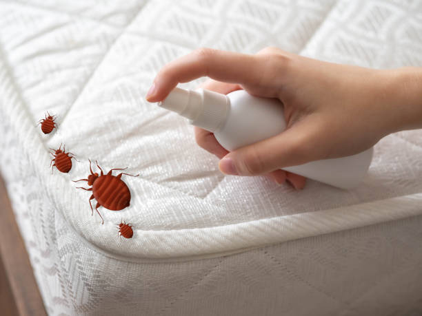 Best Pest Removal Services  in Murphys Estates, SC