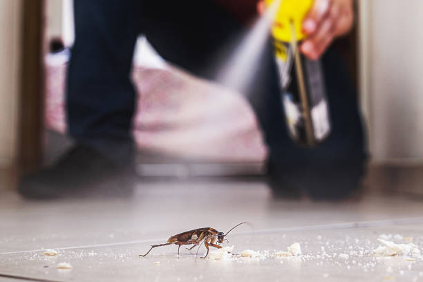 Best Pest Control Treatment  in Murphys Estates, SC